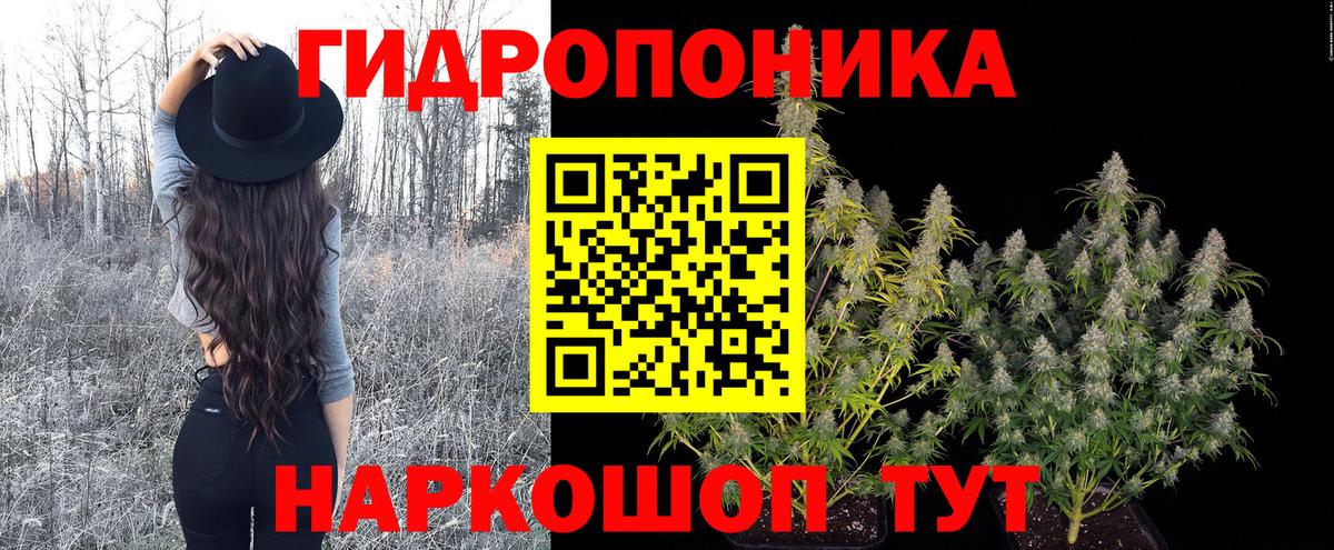 Каннабис Amnesia  Каннабис OG Kush  Сибай  Вход с VPN 